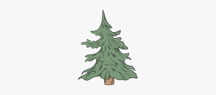 Evergreen Tree Clipart - Christmas Tree, HD Png Download, Free Download