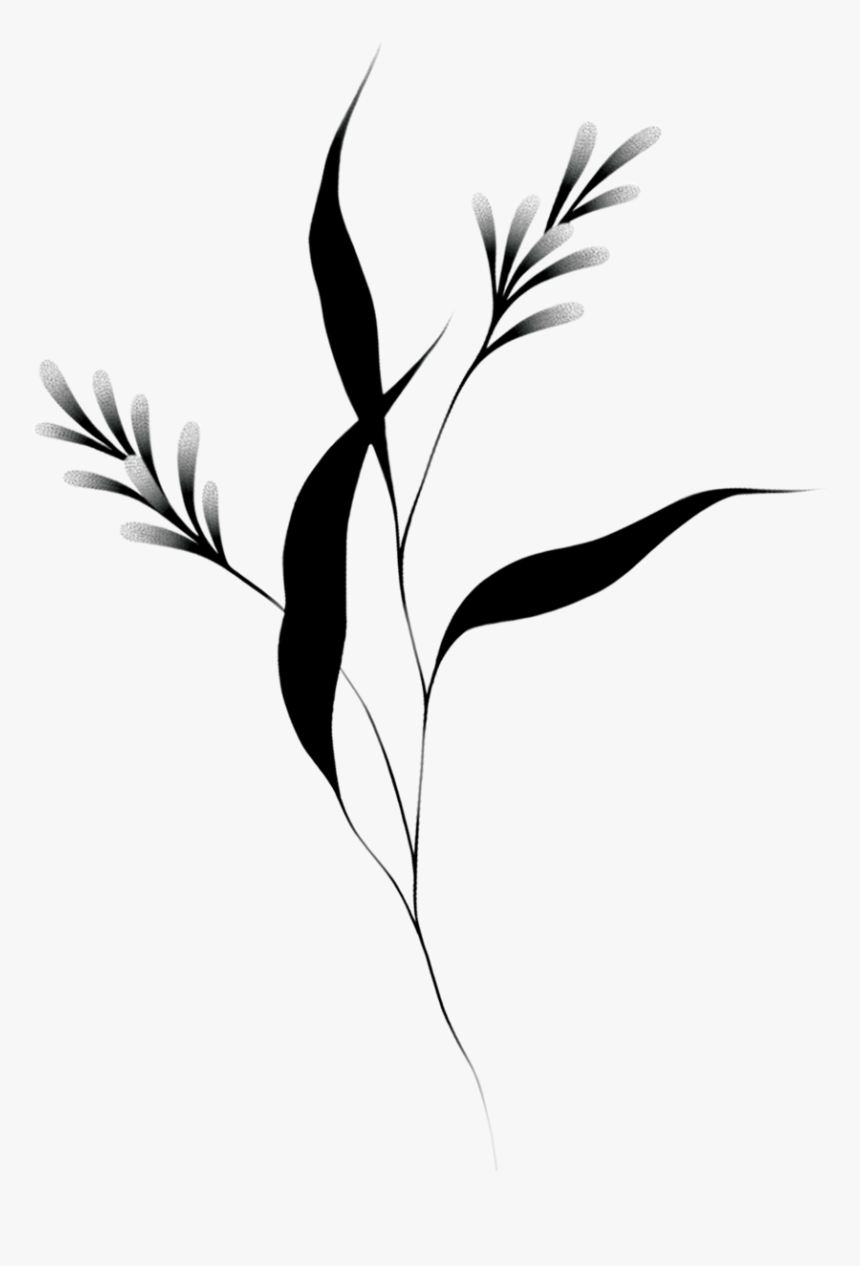 Illustration, HD Png Download, Free Download