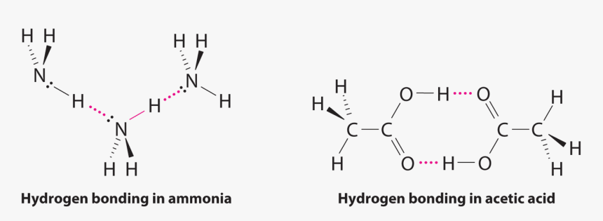 Alt - Polyunsaturated Fat, HD Png Download, Free Download