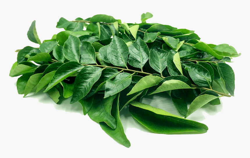Transparent Curry Leaves Png , Png Download - Curry Leaves, Png Download, Free Download
