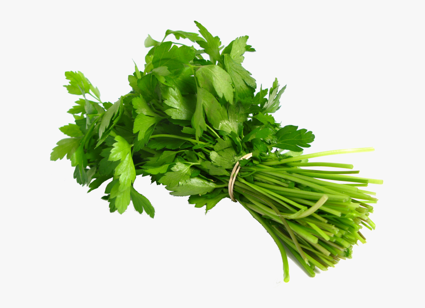 Coriander Png, Transparent Png, Free Download