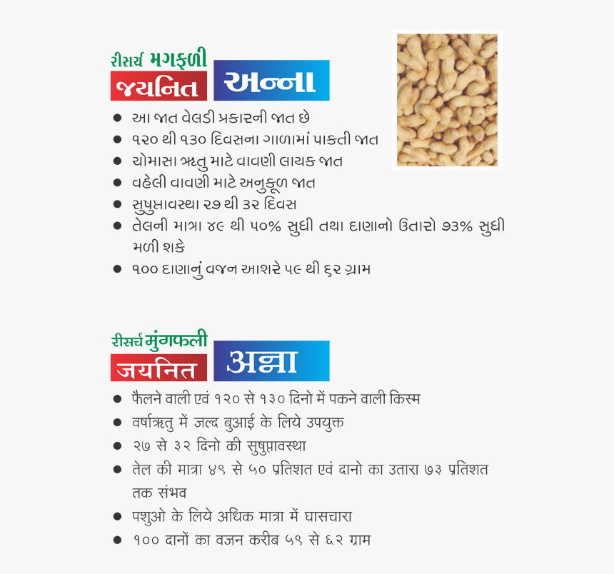Research Groundnut Jaynit Anna - Groundnut Plant, HD Png Download, Free Download