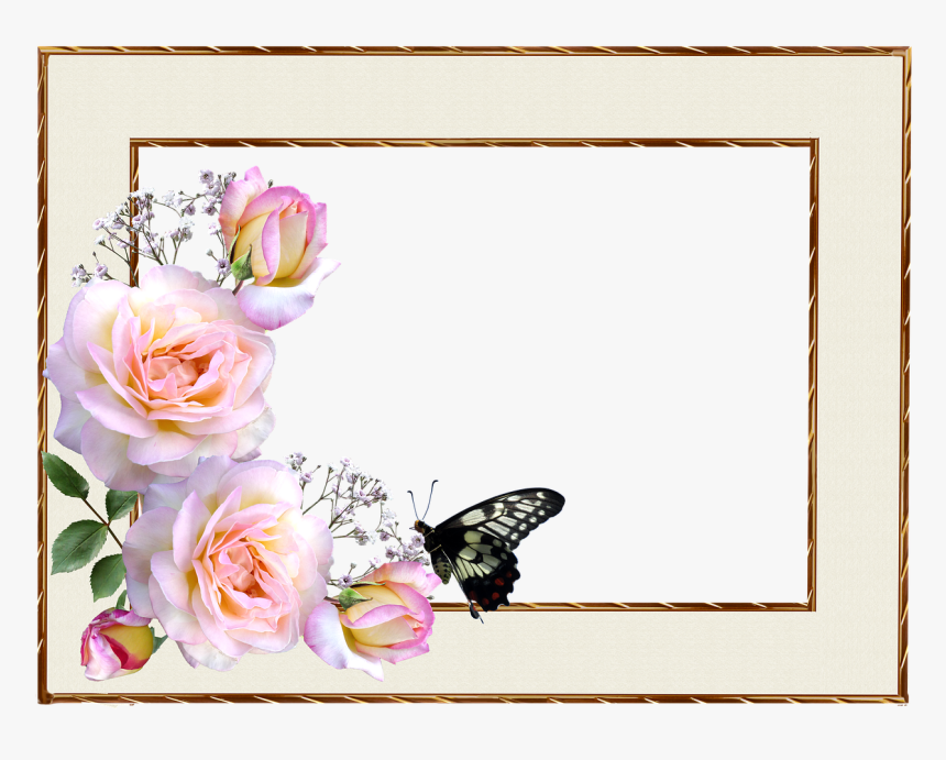 Rose Frame Border Design, HD Png Download, Free Download