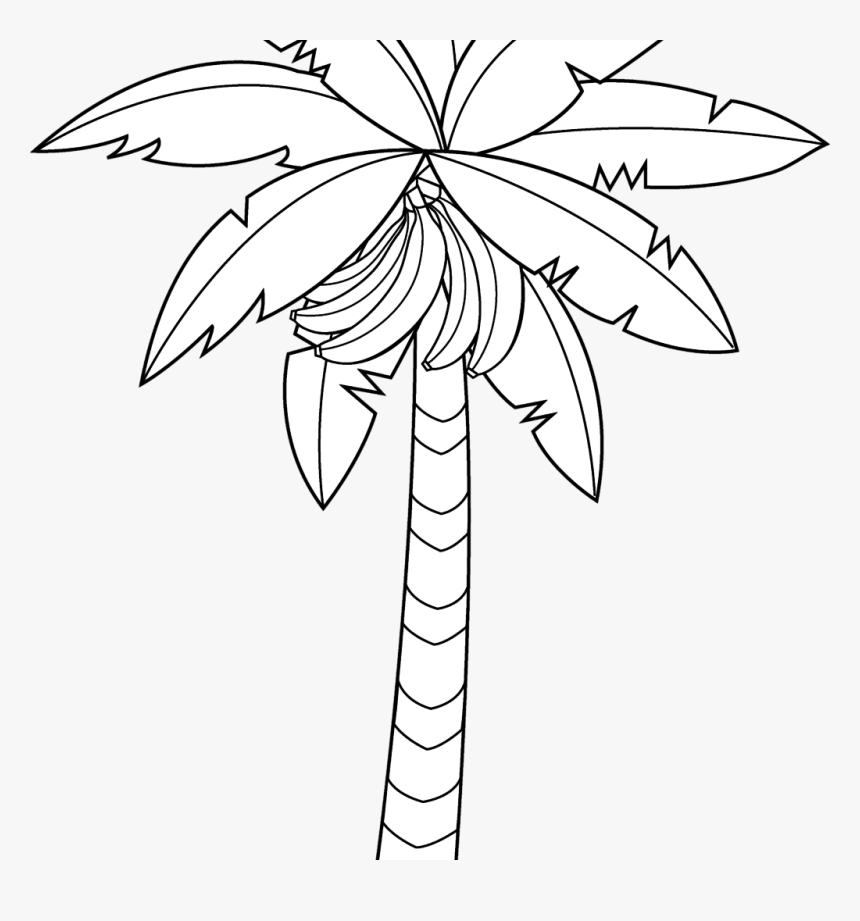 Banana Tree Drawing Outstanding Vector Hand Of In Large - Coloring Book, HD Png Download, Free Download
