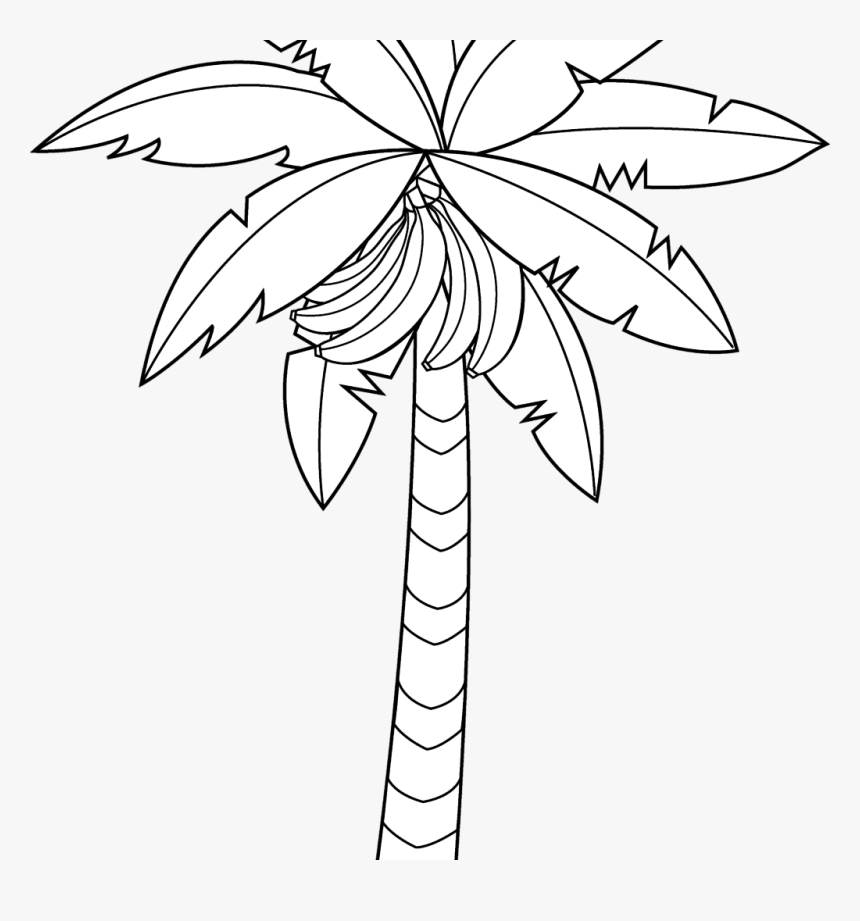 Banana Tree Drawing Outstanding Vector Hand Of In Large - Coloring Book ...