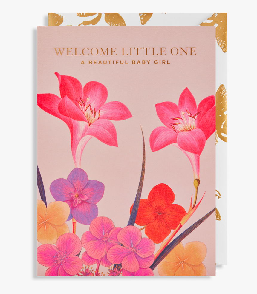 Hibiscus, HD Png Download, Free Download