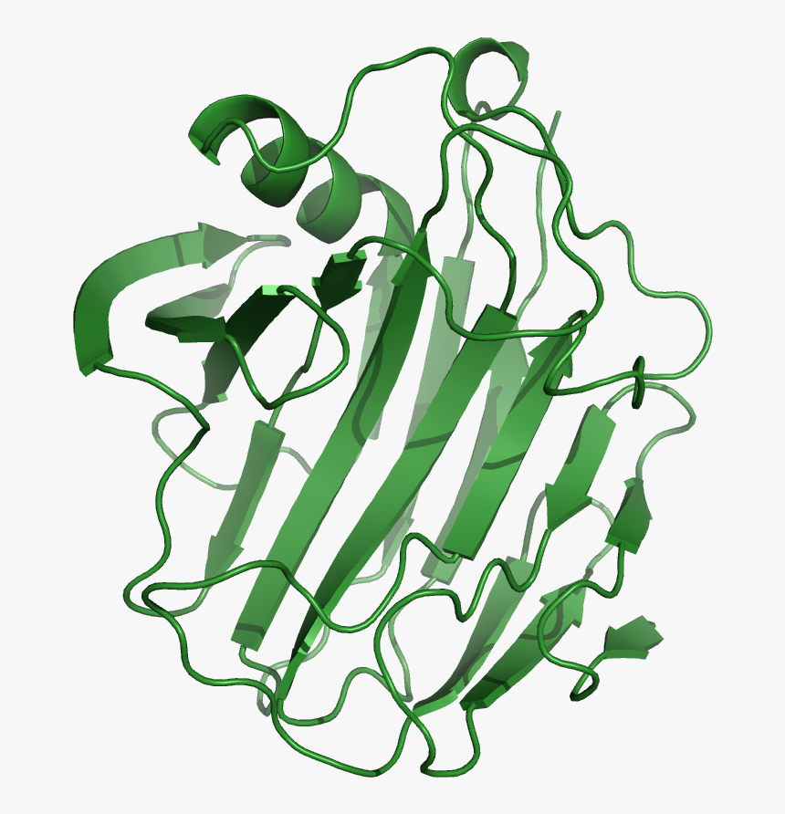 File - 1nlrribbon - Enzyme Cellulase, HD Png Download, Free Download