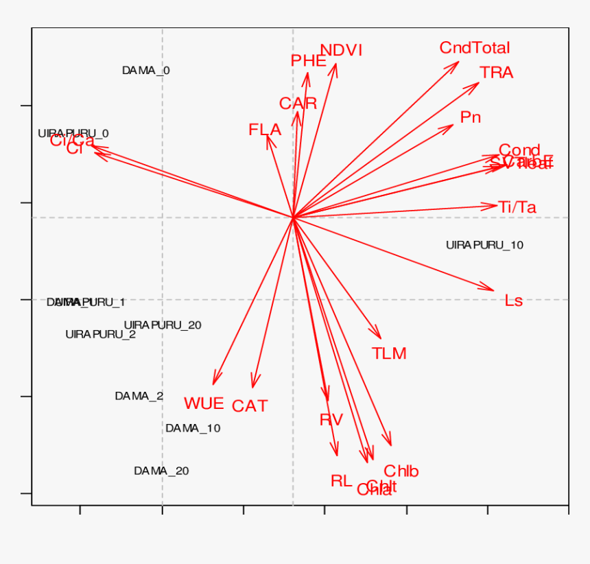 Diagram, HD Png Download, Free Download