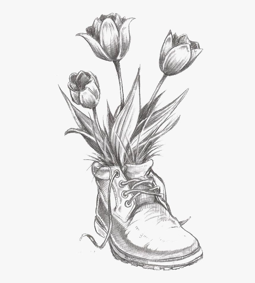 Flower Tulip Pencil Transprent Png Free Download - Flower Pencil Drawing, Transparent Png, Free Download