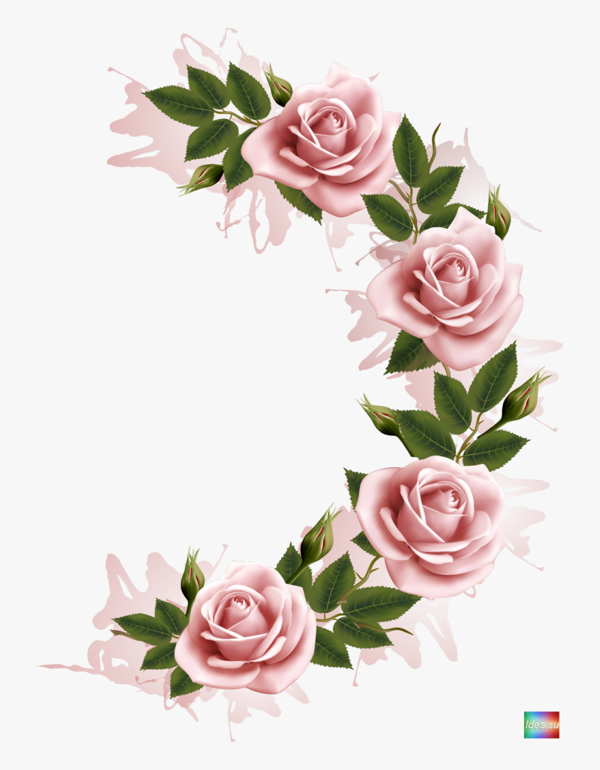 Flower, HD Png Download, Free Download