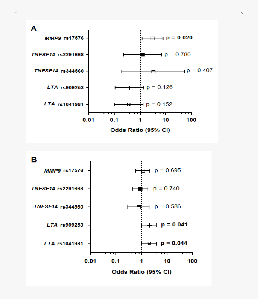 Document, HD Png Download, Free Download
