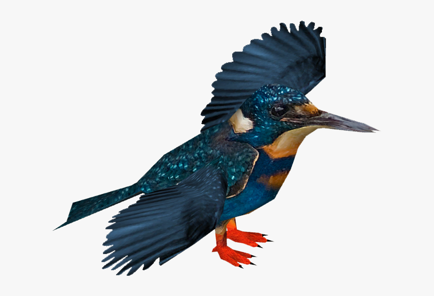 Blyth"s Kingfisher - Kingfisher, HD Png Download, Free Download