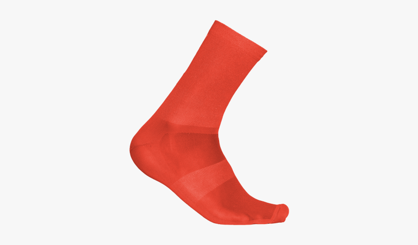 Coral - Sock, HD Png Download, Free Download