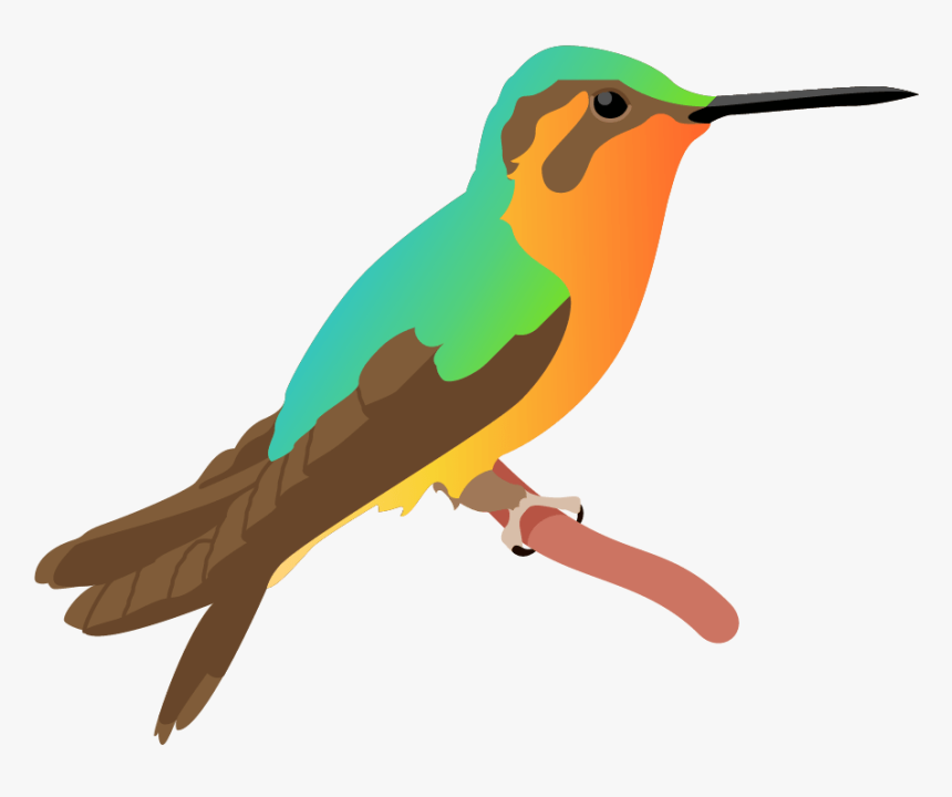Ruby-throated Hummingbird , Png Download - Ruby-throated Hummingbird, Transparent Png, Free Download