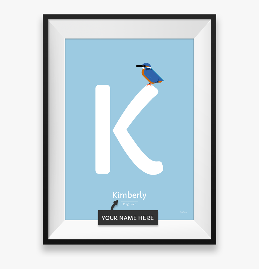 Kingfisher Png, Transparent Png, Free Download