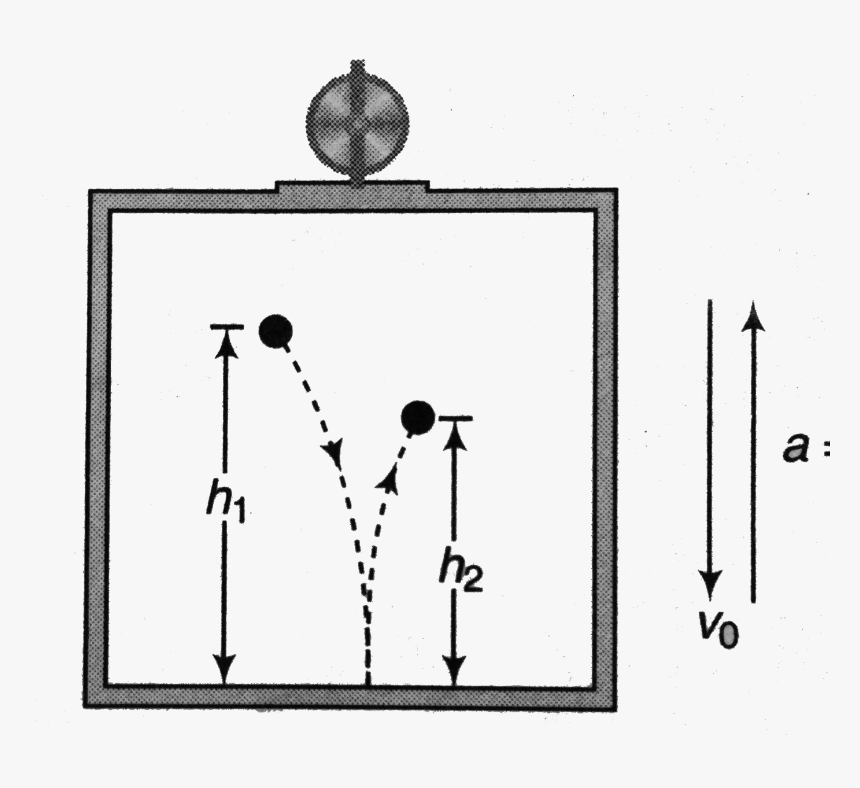 Diagram, HD Png Download, Free Download