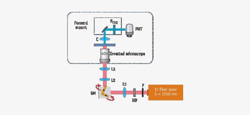 Diagram, HD Png Download, Free Download