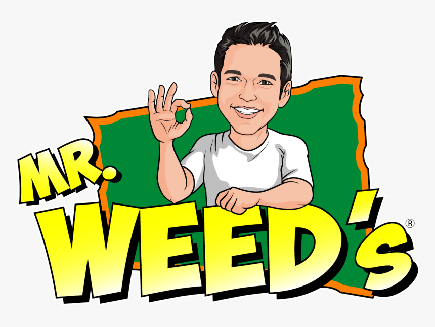 Cartoon, HD Png Download, Free Download