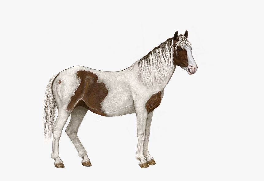 Thumb Image - Horse Pixel Background, HD Png Download, Free Download