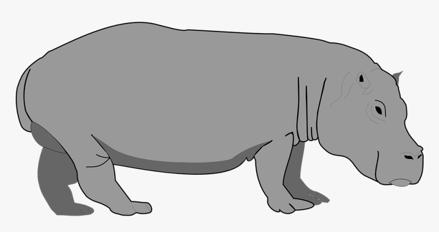 Gambar Kartun Kuda Nil - Clipart Of A Hippo, HD Png Download, Free Download