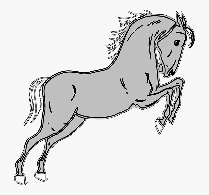 Transparent Horse Jump Clipart - Horse Clip Art, HD Png Download, Free Download