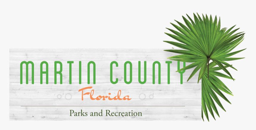 Mc Parks & Rec - Saw Palmetto, HD Png Download, Free Download