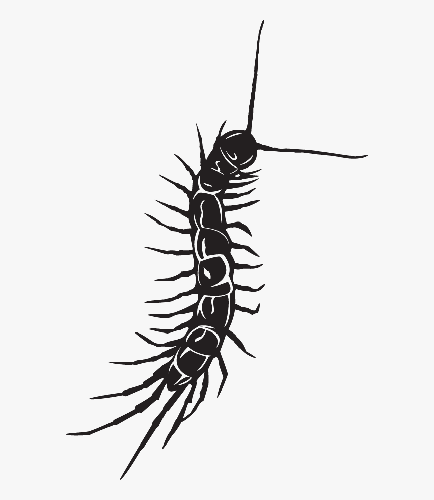 Centipede Black And White Tattoo , Png Download - Centipede Tattoo On Neck, Transparent Png, Free Download