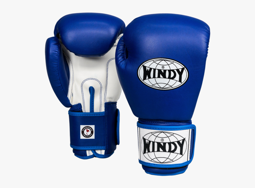 Blue Boxing Gloves Png, Transparent Png, Free Download
