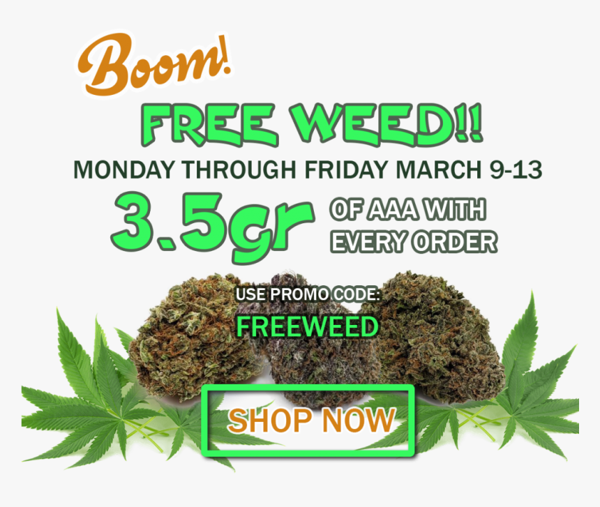 Natural Foods, HD Png Download, Free Download