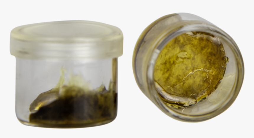 $45 Tax - Invertebrate, HD Png Download, Free Download