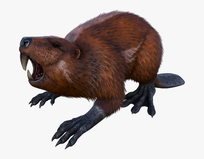 Beaver Ark, HD Png Download, Free Download