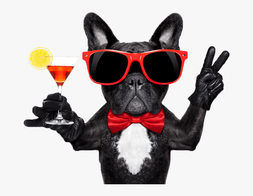 Party Animal Person, HD Png Download, Free Download