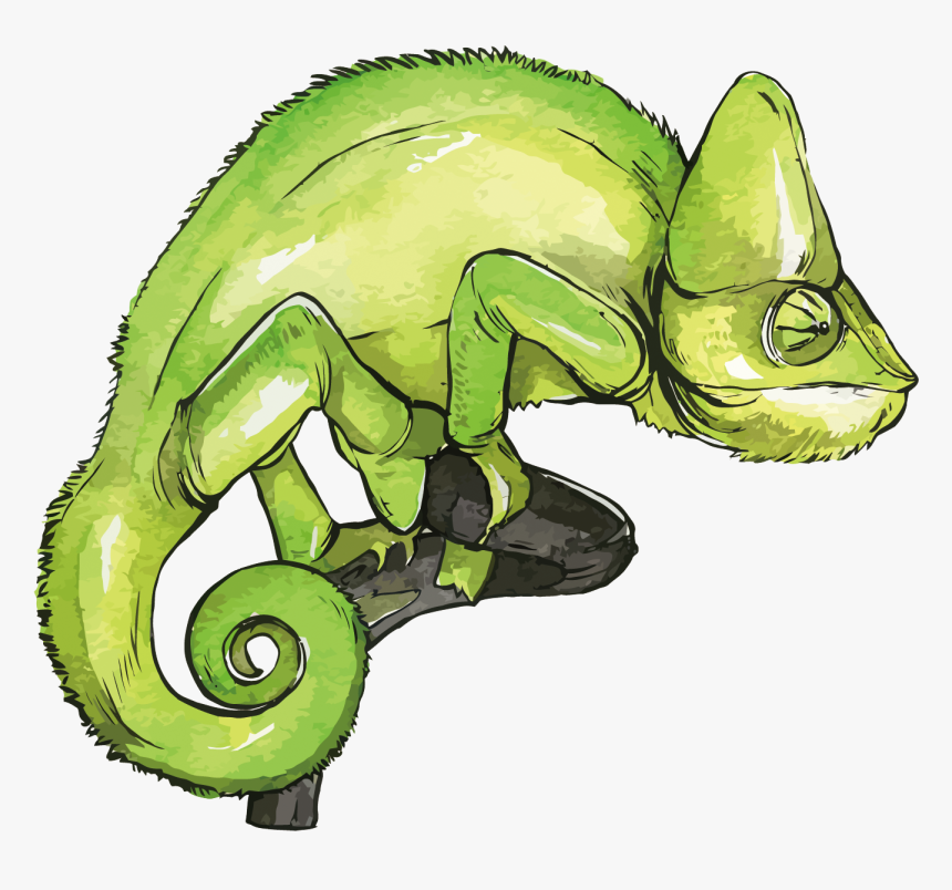 Chameleon Png - Chameleons, Transparent Png, Free Download