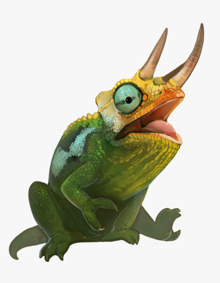 Transparent Jackson Chameleon Clipart - Wallace's Flying Frog, HD Png Download, Free Download