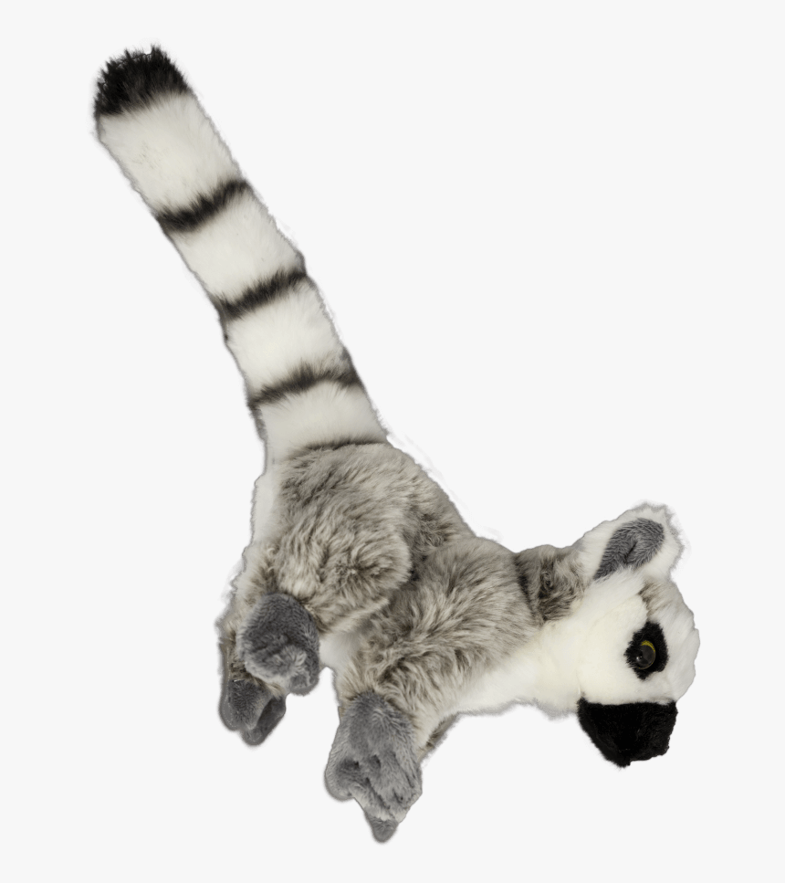 Ring Tailed Lemur Transparent, HD Png Download, Free Download