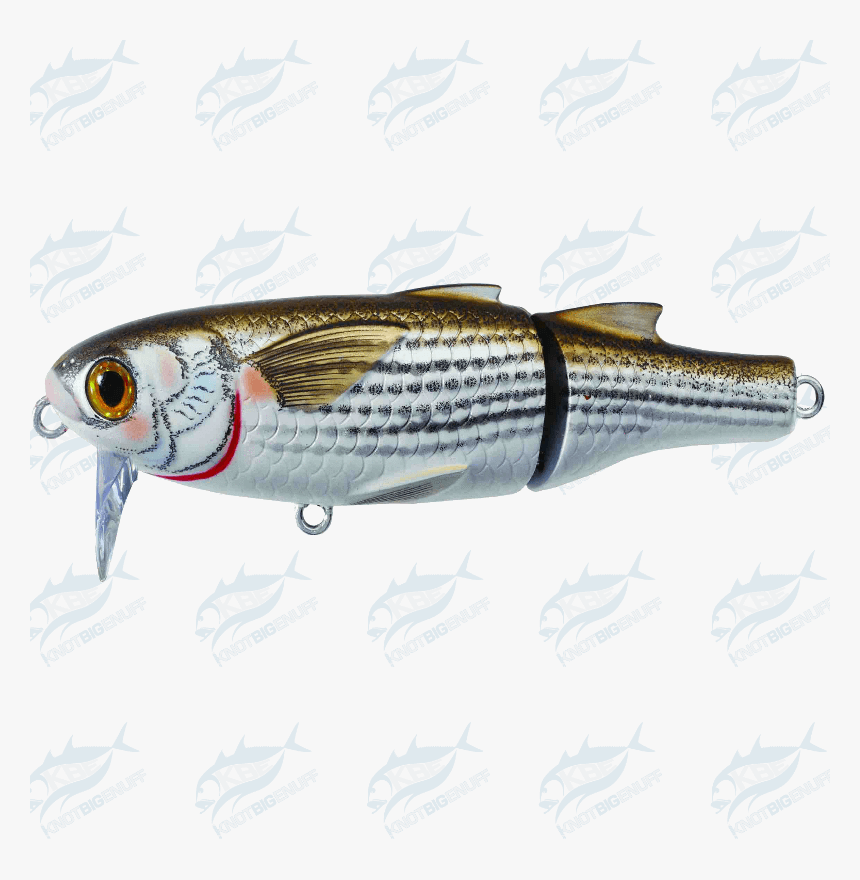 Anchovy (food), HD Png Download, Free Download