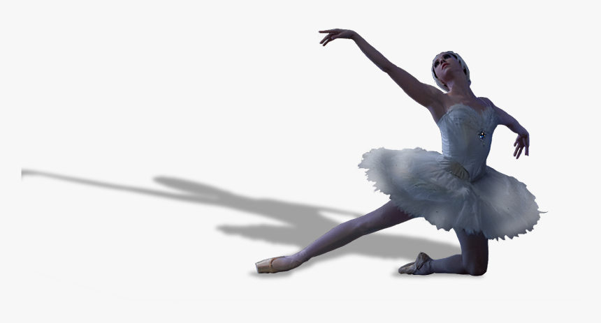 Swan Lake Birmingham Alabama Ballet , Png Download - Swan Lake Ballet Png, Transparent Png, Free Download