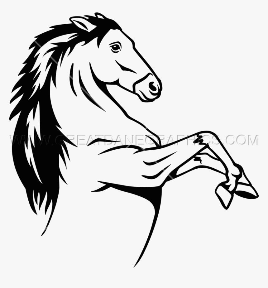 Thumb Image - Transparent Bronco Black And White, HD Png Download, Free Download