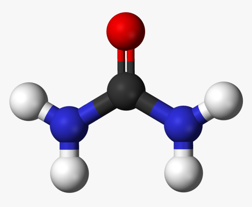 Urea Molecule, HD Png Download, Free Download