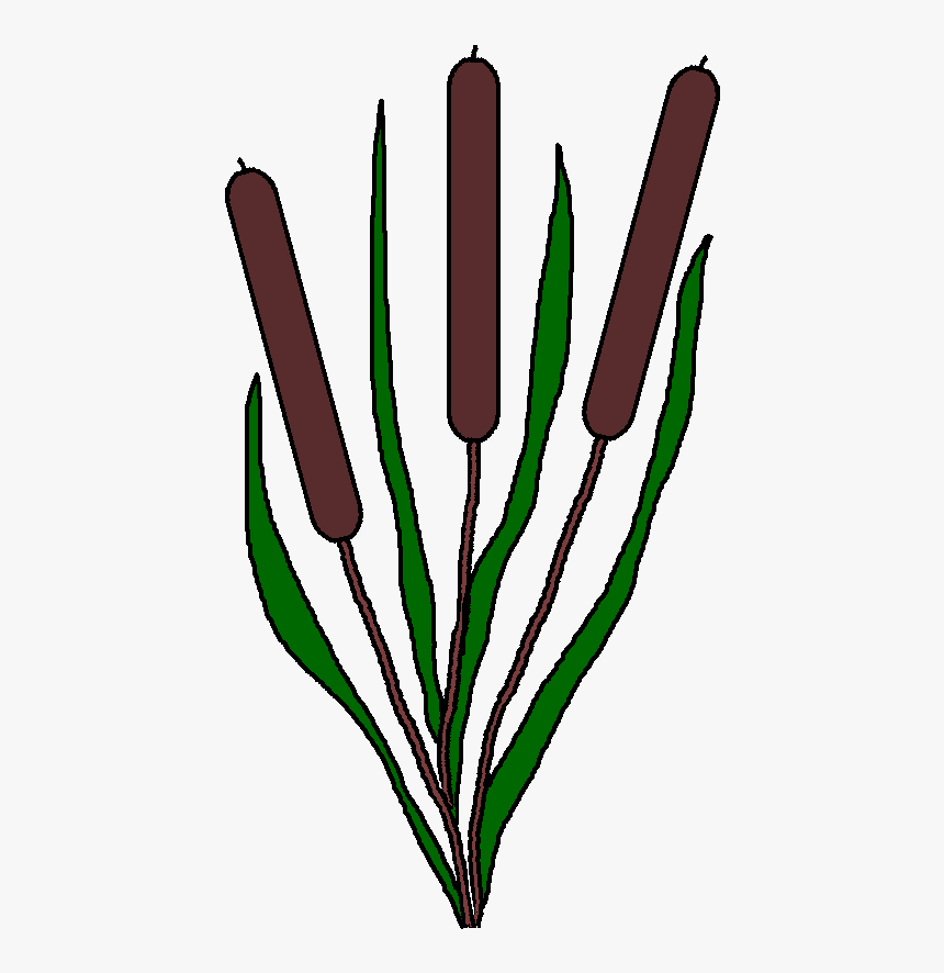 Graphics By Ruth - Cartoon Pond Plants, HD Png Download, Free Download