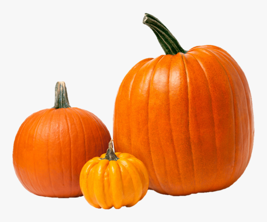 Pumpkins Png - Small Pumpkin Large Pumpkin, Transparent Png, Free Download