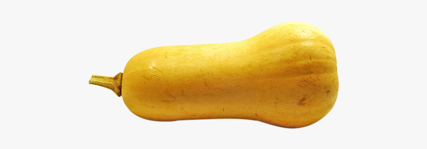 Butternut Squash, HD Png Download, Free Download