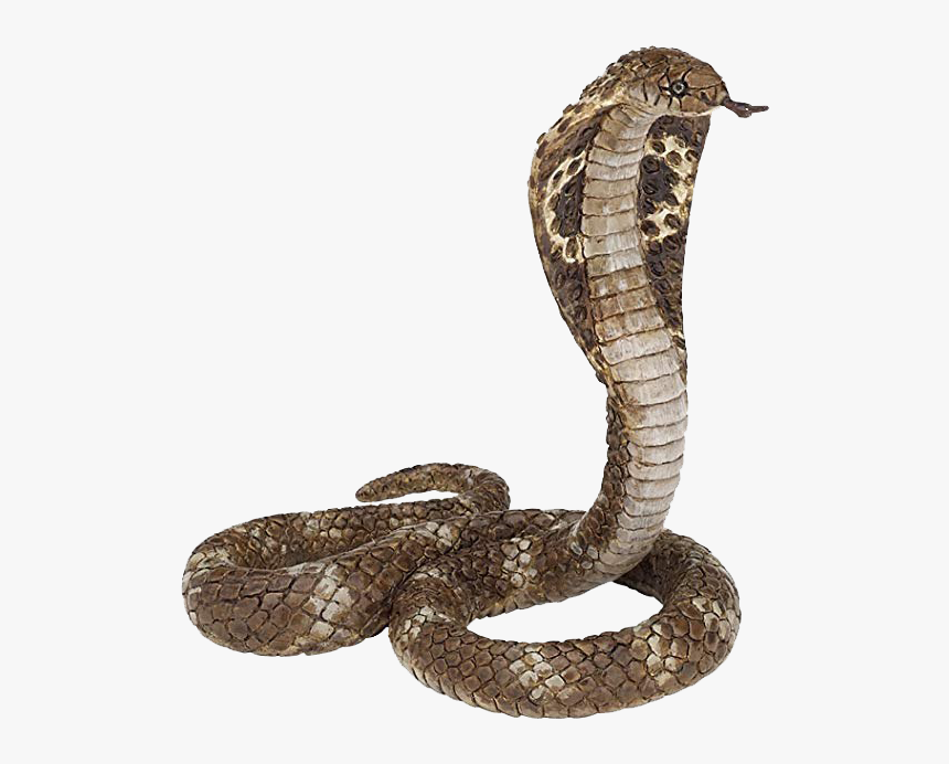 King Cobra Transparent File - King Cobra Png, Png Download, Free Download