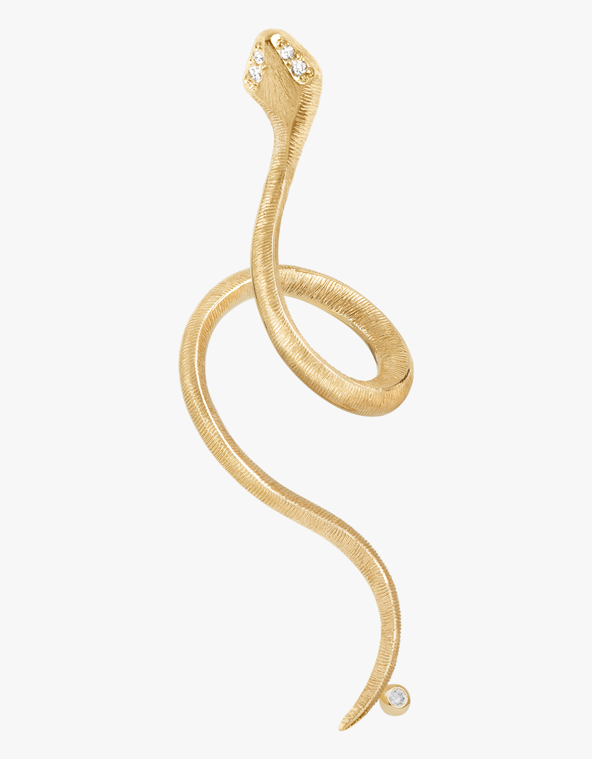 Indian Cobra, HD Png Download, Free Download