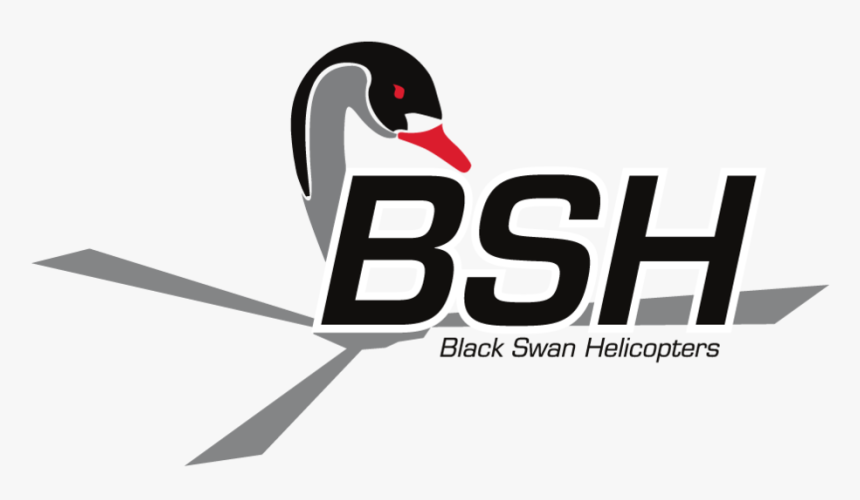 014 Blackswanheli Logo Official-01 - Black Swan, HD Png Download, Free Download