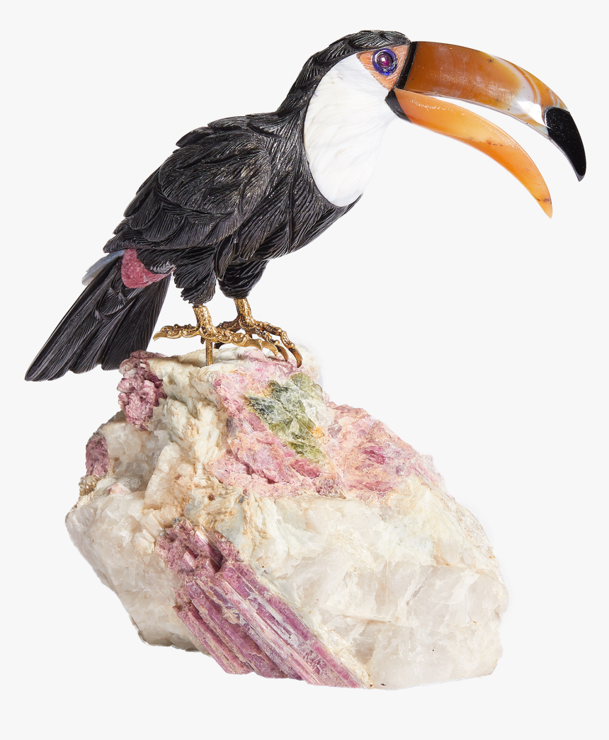 Toucan , Png Download - Hornbill, Transparent Png, Free Download