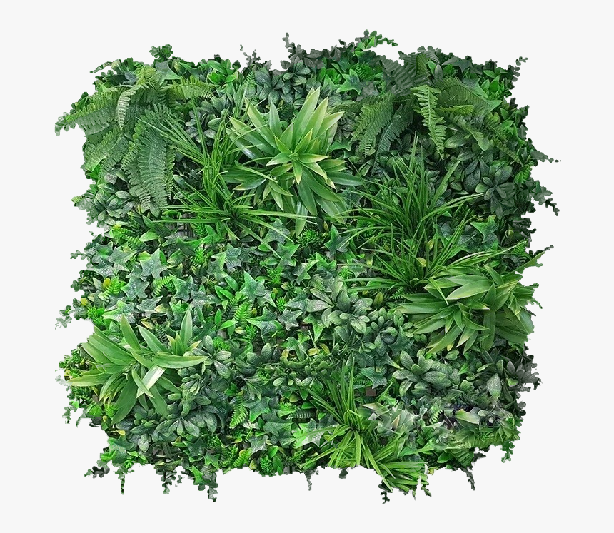 Evergreencoastal Clipped Rev 1 - Vertical Garden Textures, HD Png Download, Free Download