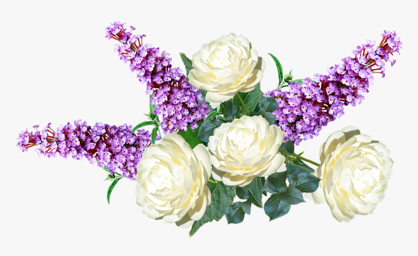 Floribunda, HD Png Download, Free Download