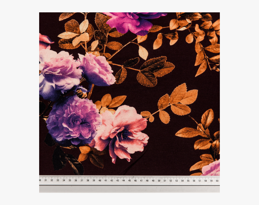 Viscose Jersey Printed Purple Roses In The Dark Multicolored - Hybrid Tea Rose, HD Png Download, Free Download