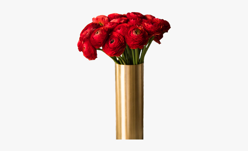 Red Peonies - Floribunda, HD Png Download, Free Download